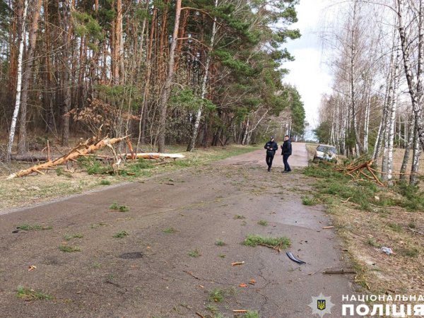 На Чернігівщині дерево впало на автомобіль, двоє людей загинули