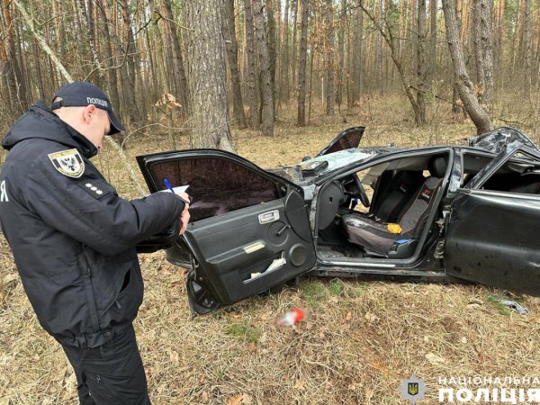 На Чернігівщині дерево впало на автомобіль, двоє людей загинули