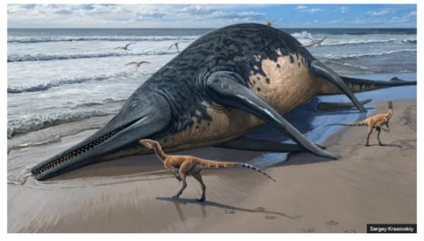 
Гігантський морський монстр: вчені виявили найдревнішу рептилію, яка коли-небудь існувала
