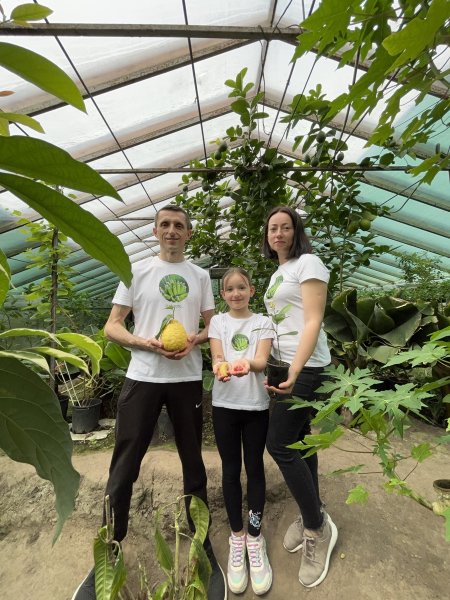 Збирають врожай кави, лимонів і бананів: сім’я на Тернопільщині вирощує екзотичні фрукти