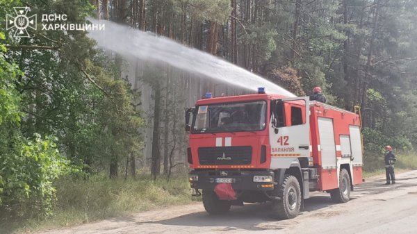 На Харківщині через російські обстріли горять вже 3700 гектарів лісу