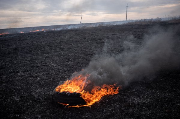
"Навіть проліт ракети впливає на врожай". Як війна руйнує українські ґрунти 