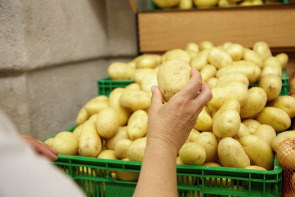 
Овочі на зиму. Ситуація з цінами на новий урожай та коли робити запаси 