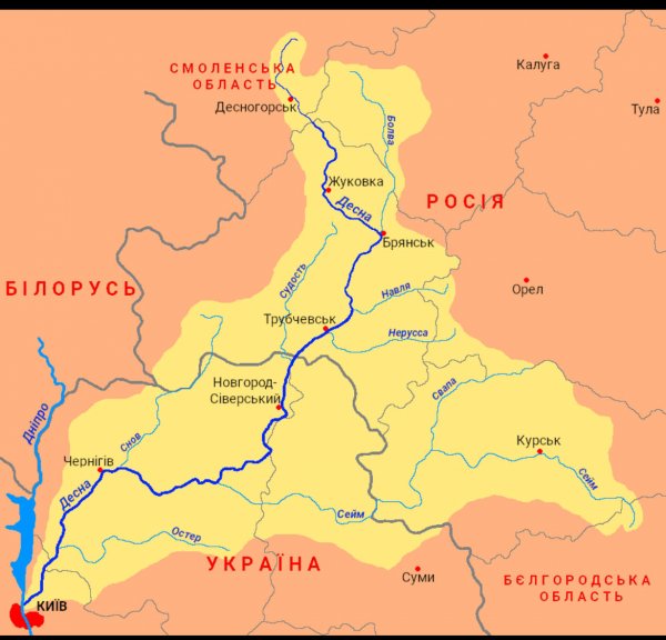 
Під Києвом у Десні виявили отруйні речовини, які стікають з РФ 