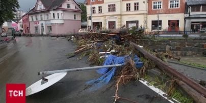 
Через повені у Польщі Туск закликав знищувати бобрів і наразився на критику
