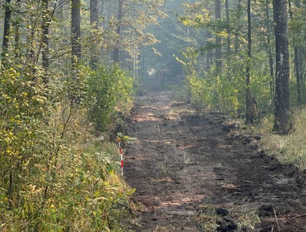 Площа займань у Чорнобильській зоні перевищила 2600 гектарів - Міндовкілля