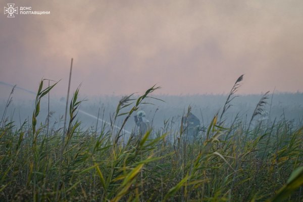 На Полтавщині лісова пожежа дісталася ще двох сіл