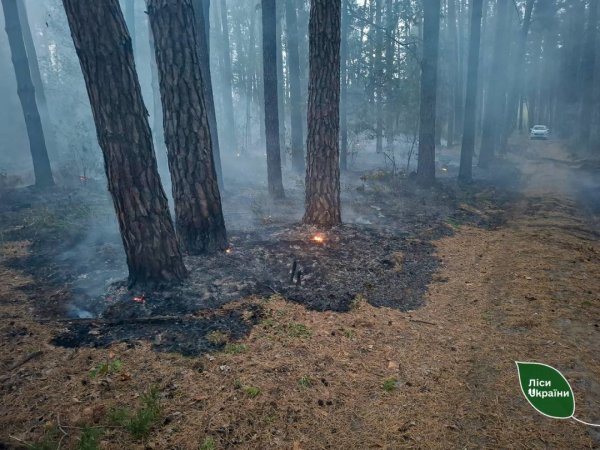 На Київщині гасять лісові пожежі після нічного ракетного обстрілу