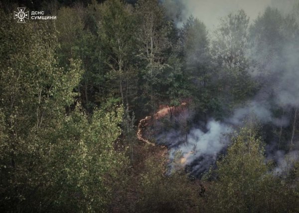 На Сумщині дві доби гасили лісову пожежу від російського авіаудару