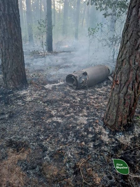 На Київщині гасять лісові пожежі після нічного ракетного обстрілу