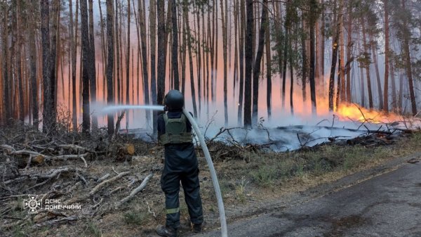 Ліквідували пожежу у нацпарку «Святі гори», яка тривала вісім днів