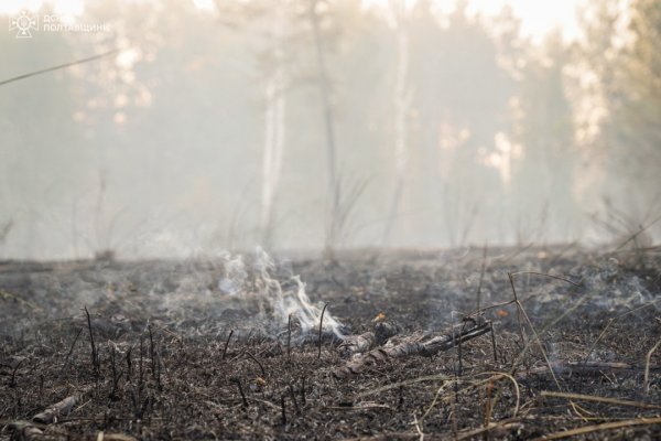 На Полтавщині лісова пожежа дісталася ще двох сіл