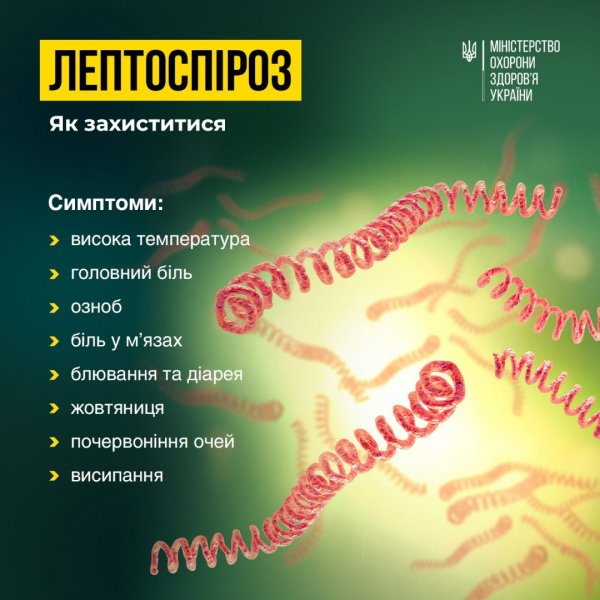 На Миколаївщині цьогоріч захворюваність на лептоспіроз збільшилася у 3,4 раза