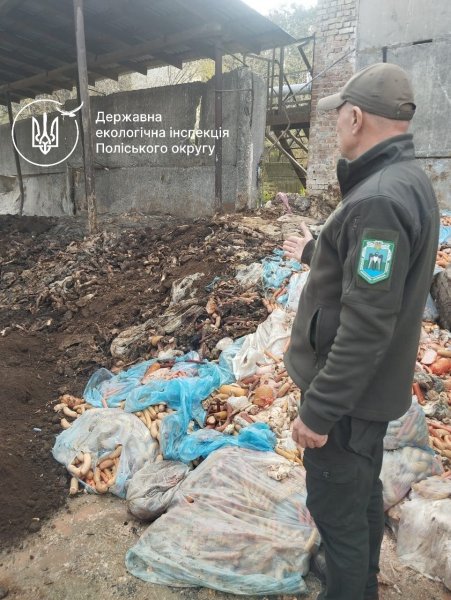 Держекоінспекція з’ясовує обставини загибелі лева на Рівненщині