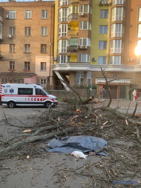 У Києві дерево впало на жінку - вона загинула від травм