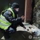 На Житомирщині затримали двох підозрюваних у теракті біля будівлі ТЦК