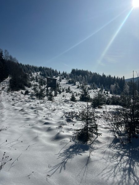 У Карпатах біля кордону з Румунією фіксують до 30 градусів морозу