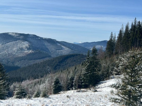 У Карпатах біля кордону з Румунією фіксують до 30 градусів морозу