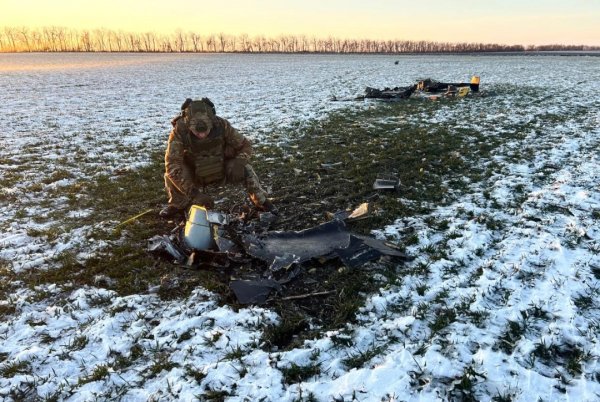 На Кіровоградщині знешкодили термобаричну частину збитого російського безпілотника