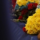 У Полтаві попрощалися із загиблим унаслідок ракетного удару РФ подружжям