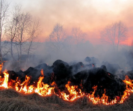 У Вінницькій області попри морози палають екосистеми: рятувальники ліквідували 11 пожеж