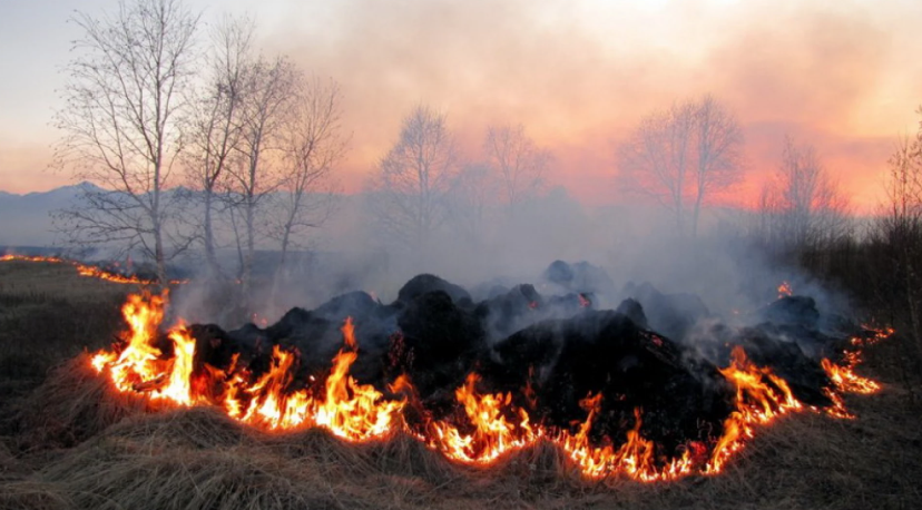 У Вінницькій області попри морози палають екосистеми: рятувальники ліквідували 11 пожеж