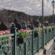 У центрі Харкова встановили весняні декорації