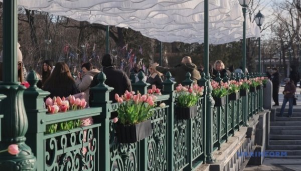 У центрі Харкова встановили весняні декорації
