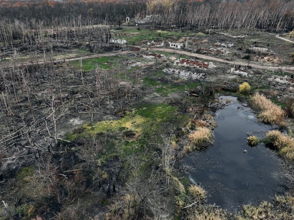 
Академік НАН: На місці Каховського водосховища за 20 років виросте унікальний ліс 