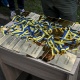 У Запоріжжі започаткували «Парк Честі» в памʼять про загиблих військових