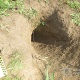На Сумщині викрили браконьєрів, які полювали на червонокнижних бабаків